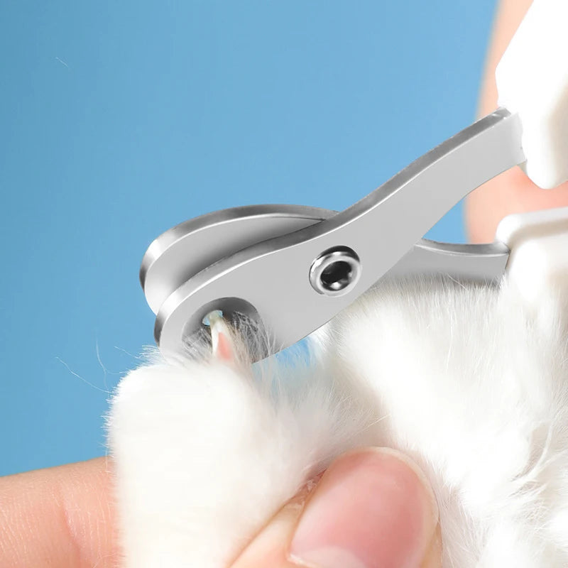Pawfectly Stainless Steel Nail Clippers for Cats & Small Dogs 🐾✂️