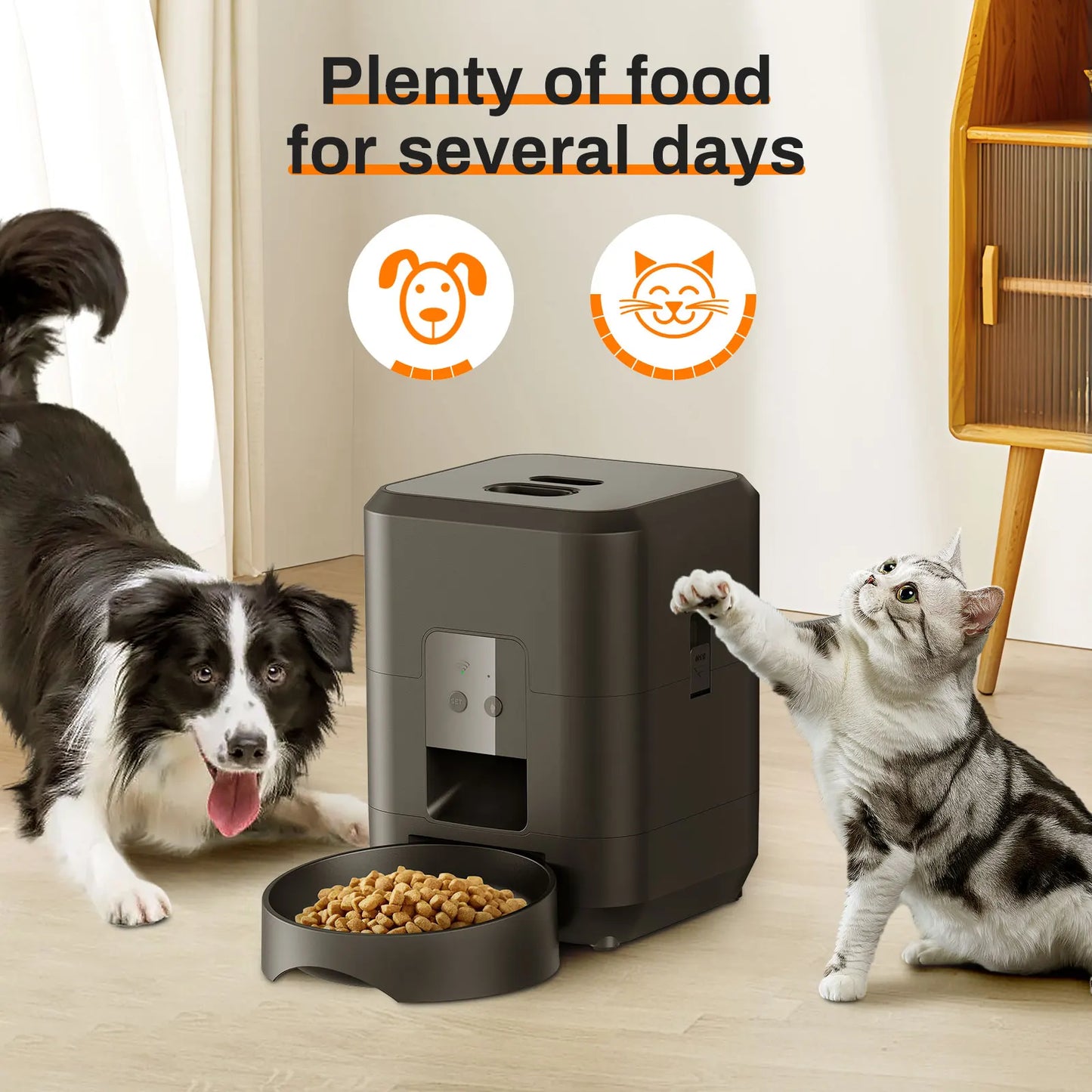 Pawfectly Smart Pet Feeder — Automatic, Timed & Precise Feeding for Cats & Dogs 🐾⏲️