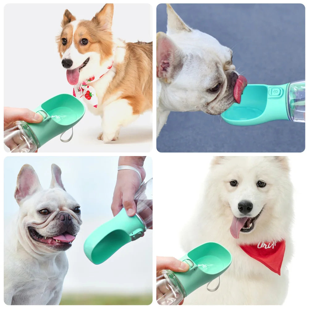 Pawfectly Leak-Proof Travel Water Bottle for Dogs & Cats ๐พ๐ง