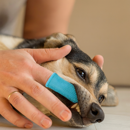 Pawfectly Super-Soft Silicone Finger Toothbrush for Cats & Small Dogs 🐾🦷