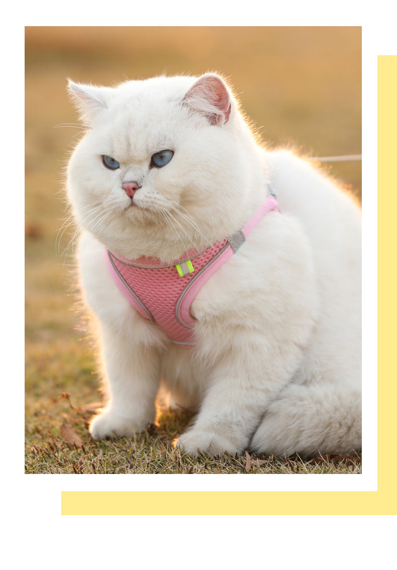 Pawfectly Reflective Nylon Harness & Leash Combo for Cats & Small Dogs 🐾🌟
