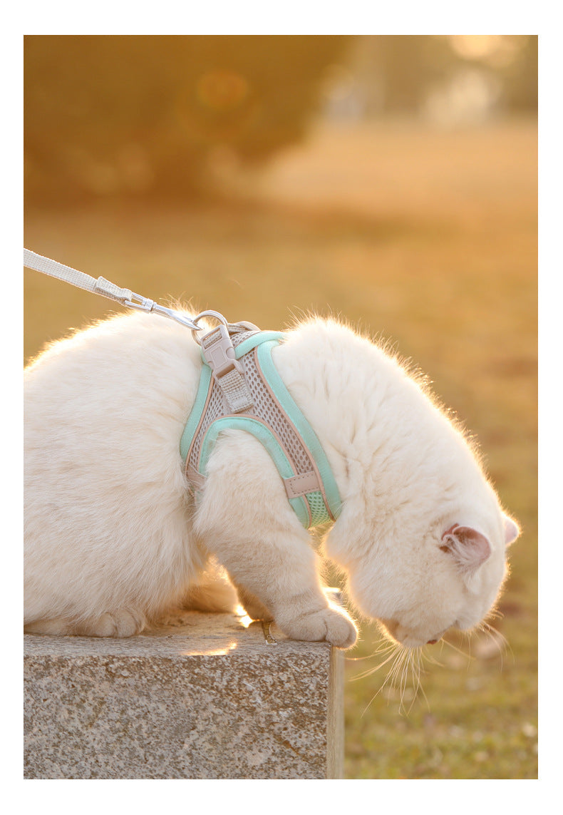 Pawfectly Reflective Nylon Harness & Leash Combo for Cats & Small Dogs 🐾🌟