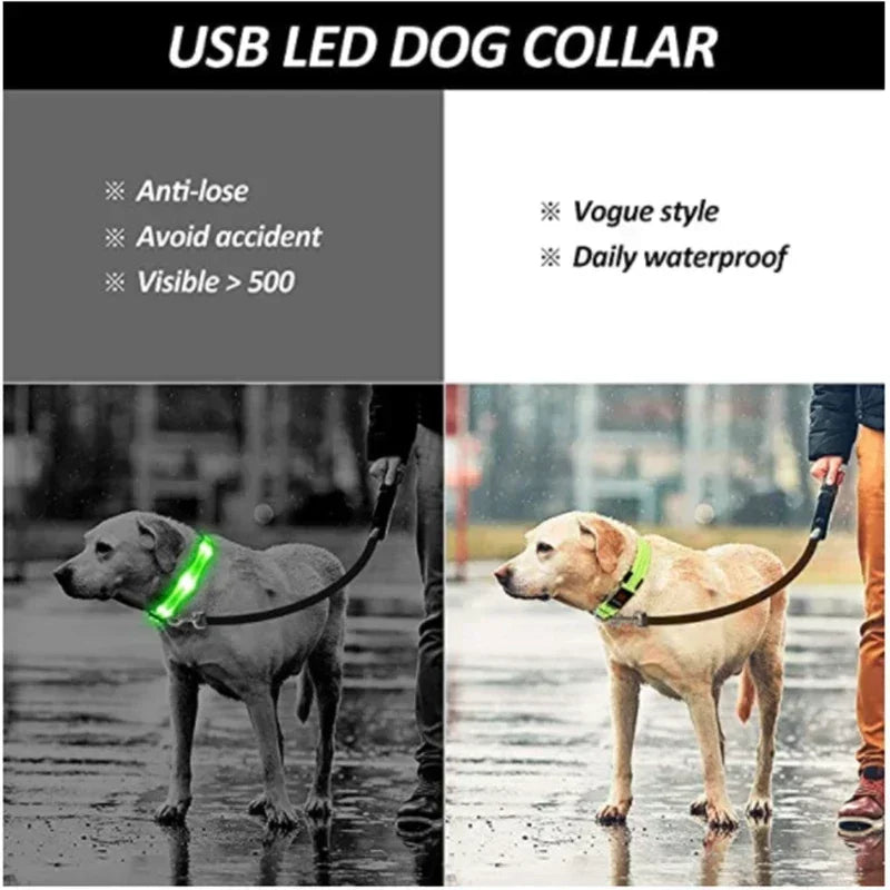 Pawfectly LED Glowing Night-Safe Collar for Small Dogs & Cats 🐾✨