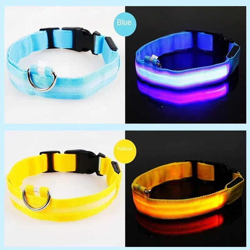 Pawfectly LED Glowing Night-Safe Collar for Small Dogs & Cats 🐾✨