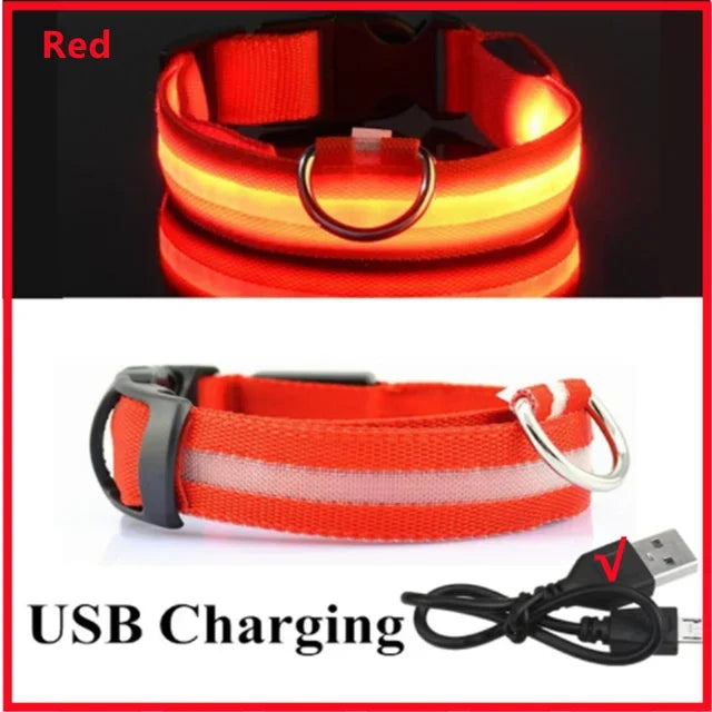 Pawfectly LED Glowing Night-Safe Collar for Small Dogs & Cats 🐾✨