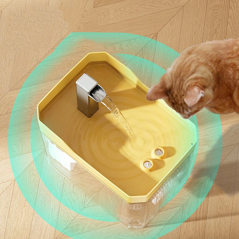 Pawfectly Transparent Plug-In Automatic Water Dispenser — Circulating Hydration Elegance 🐾💧