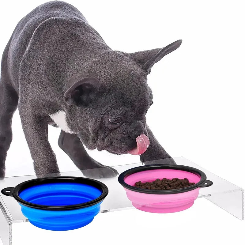 Pawfectly Foldable Silicone Travel Bowl with Carabiner – 2-in-1 Food & Water Dispenser 🐾🍽️