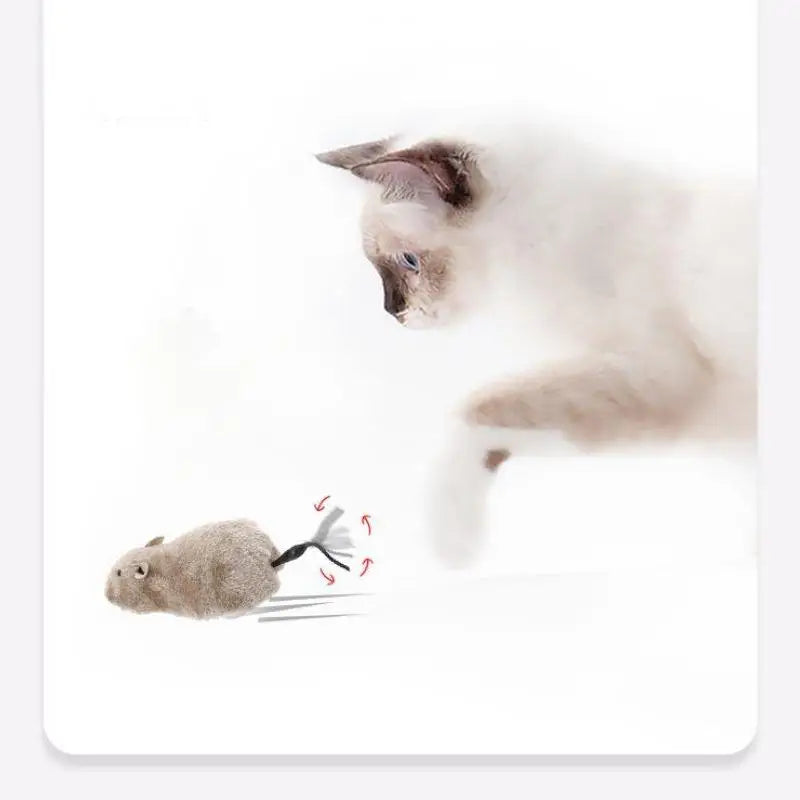 Pawfectly Lifelike Plush Running Mouse Toy for Cats & Dogs 🐾🐭