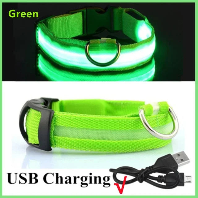 Pawfectly LED Glowing Night-Safe Collar for Small Dogs & Cats 🐾✨
