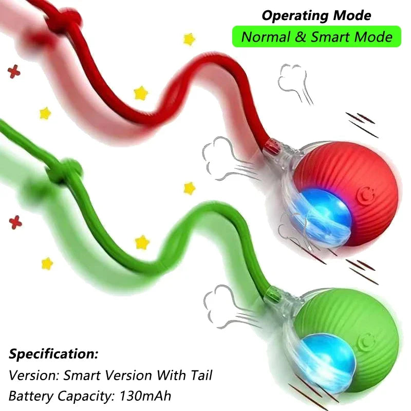 Pawfectly Smart Rolling Ball with Tail — Interactive Rechargeable Cat Toy 🐾🤖