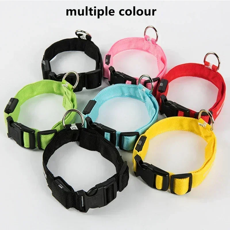 Pawfectly LED Glowing Night-Safe Collar for Small Dogs & Cats 🐾✨