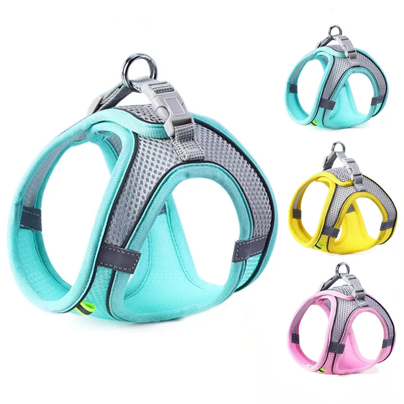 Pawfectly Reflective Nylon Harness & Leash Combo for Cats & Small Dogs 🐾🌟