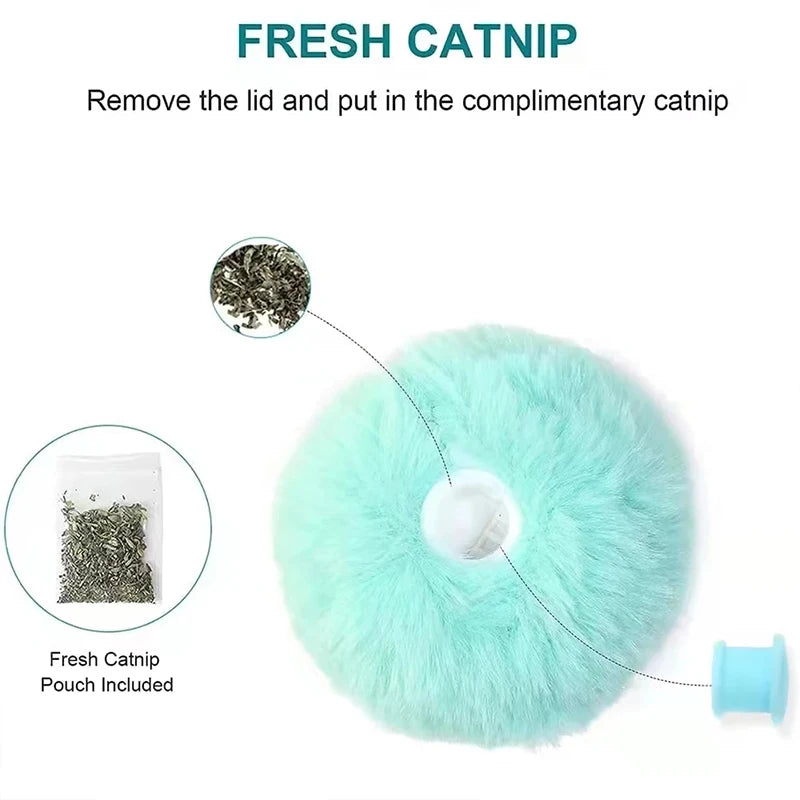 Pawfectly Interactive Catnip Squeaky Plush Ball Toy 🐾🔔