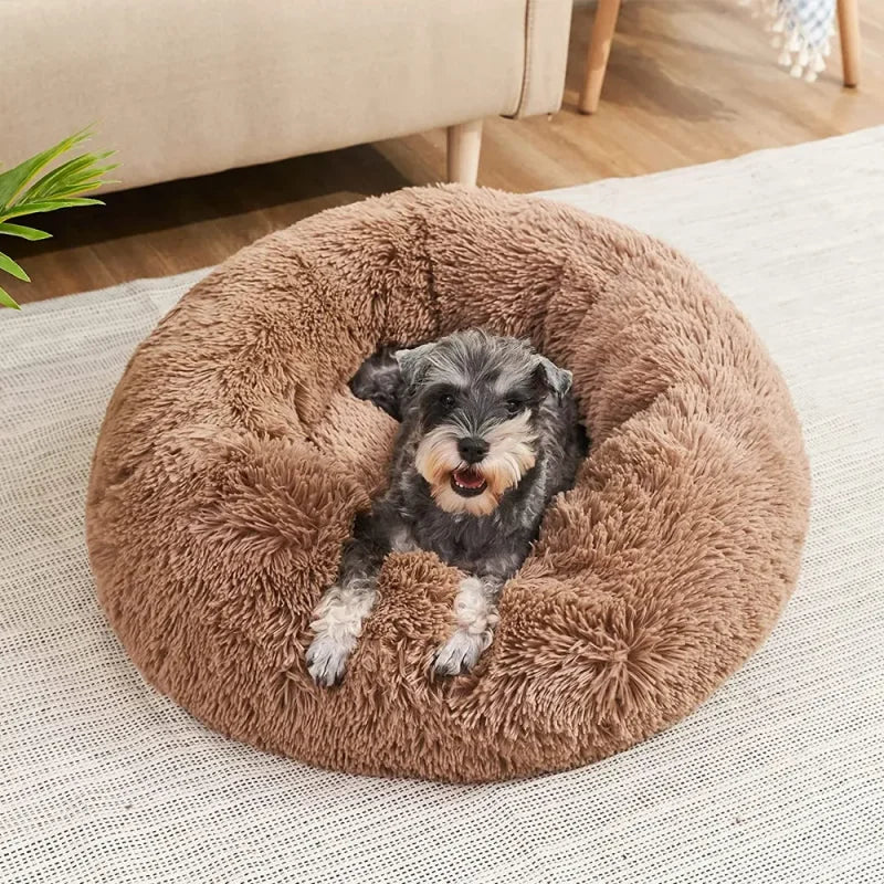 Pawfectly Super-Soft Plush Donut Bed for Cats & Small Dogs 🐾🛌