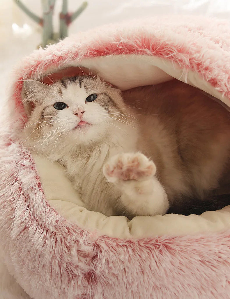 Pawfectly Autumn & Winter Plush Nest Bed 🐾❄️