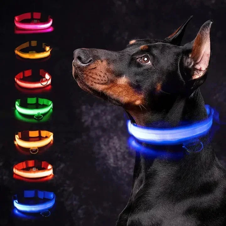 Pawfectly LED Glowing Night-Safe Collar for Small Dogs & Cats 🐾✨