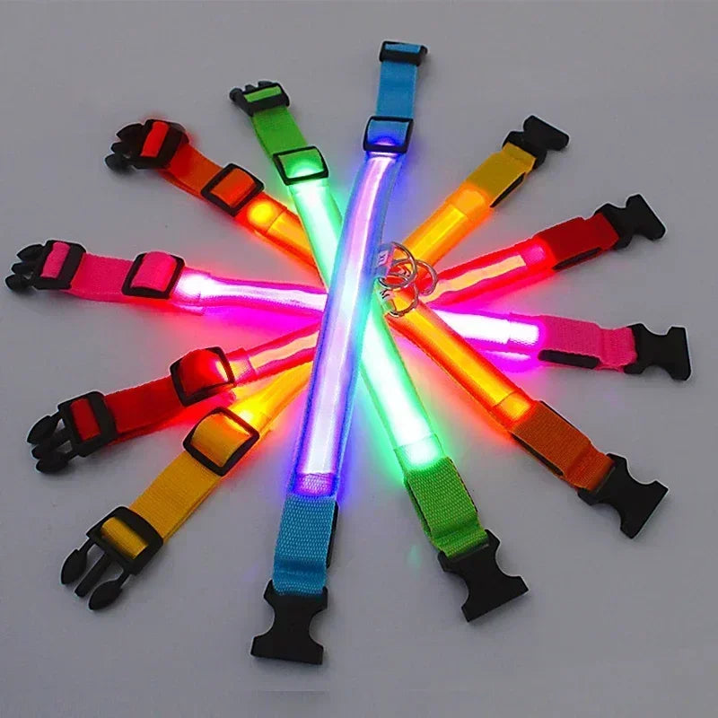 Pawfectly LED Glowing Night-Safe Collar for Small Dogs & Cats 🐾✨