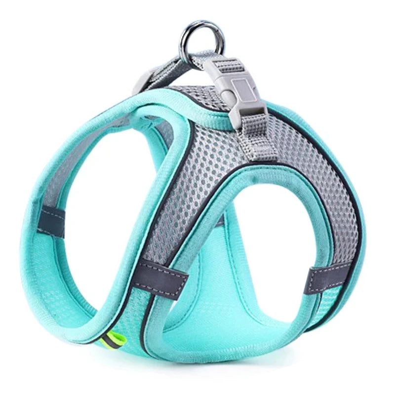 Pawfectly Reflective Nylon Harness & Leash Combo for Cats & Small Dogs 🐾🌟