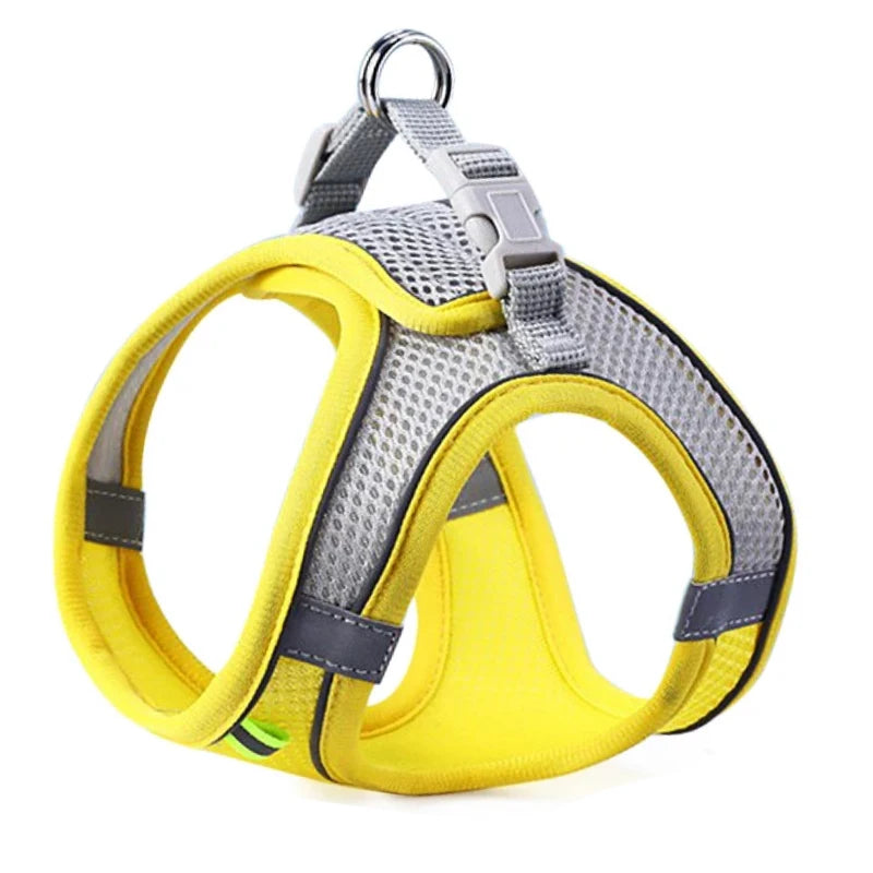 Pawfectly Reflective Nylon Harness & Leash Combo for Cats & Small Dogs 🐾🌟