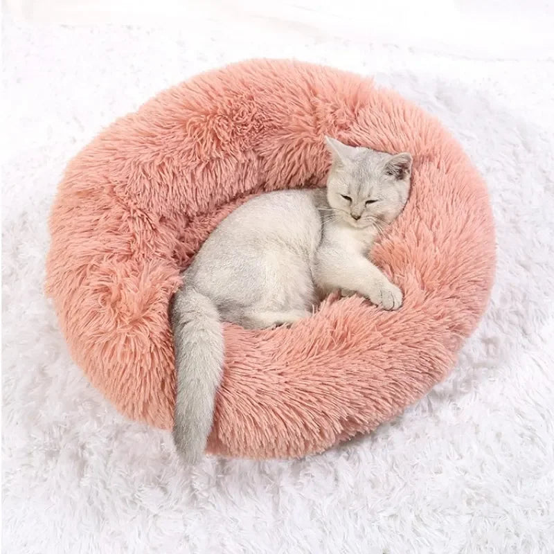 Pawfectly Super-Soft Plush Donut Bed for Cats & Small Dogs 🐾🛌