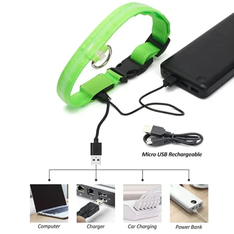 Pawfectly LED Glowing Night-Safe Collar for Small Dogs & Cats 🐾✨
