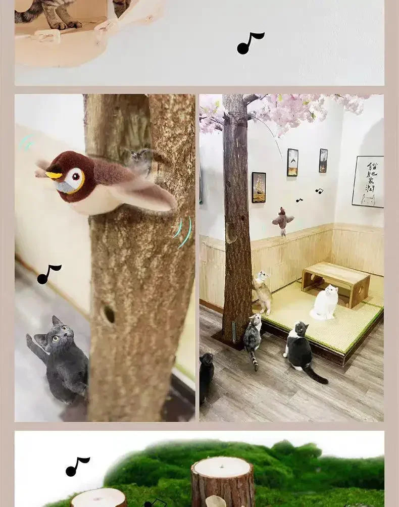 Pawfectly Electric Catnip Pat Bird Interactive Toy for Cats & Dogs 🐾🐦