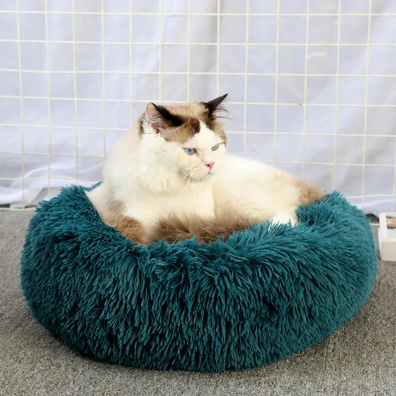 Pawfectly Super-Soft Plush Donut Bed for Cats & Small Dogs 🐾🛌