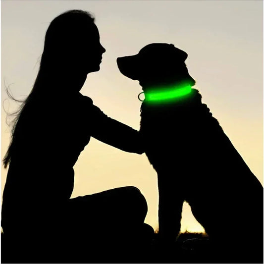Pawfectly LED Glowing Night-Safe Collar for Small Dogs & Cats 🐾✨