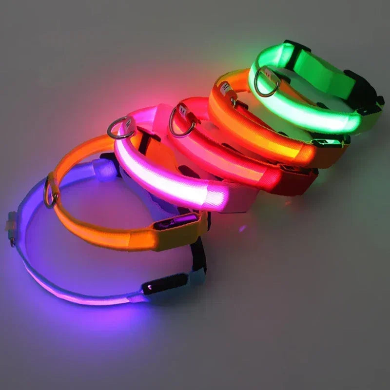 Pawfectly LED Glowing Night-Safe Collar for Small Dogs & Cats 🐾✨