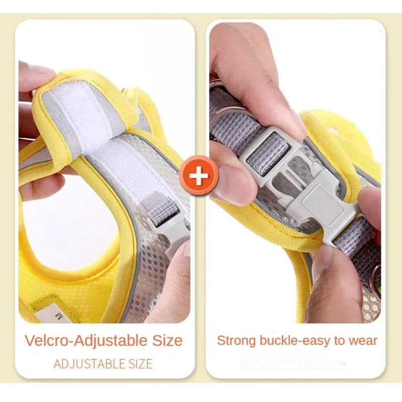 Pawfectly Reflective Nylon Harness & Leash Combo for Cats & Small Dogs 🐾🌟