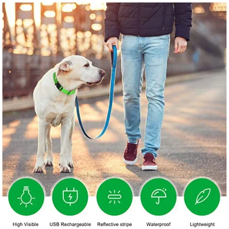 Pawfectly LED Glowing Night-Safe Collar for Small Dogs & Cats 🐾✨