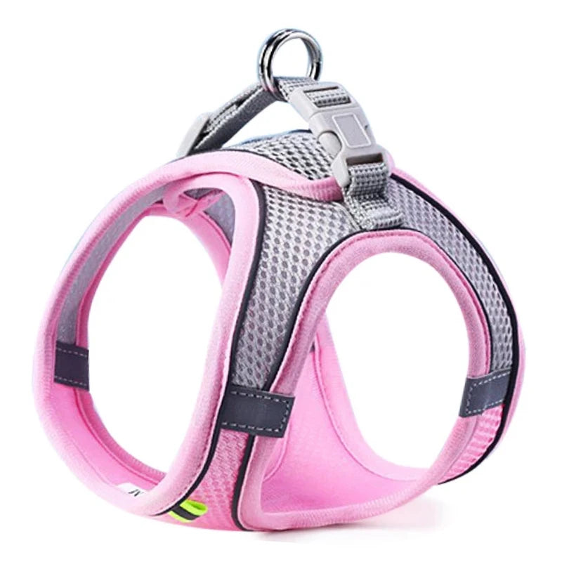 Pawfectly Reflective Nylon Harness & Leash Combo for Cats & Small Dogs 🐾🌟