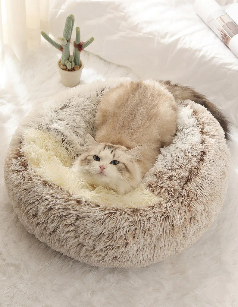 Pawfectly Autumn & Winter Plush Nest Bed 🐾❄️