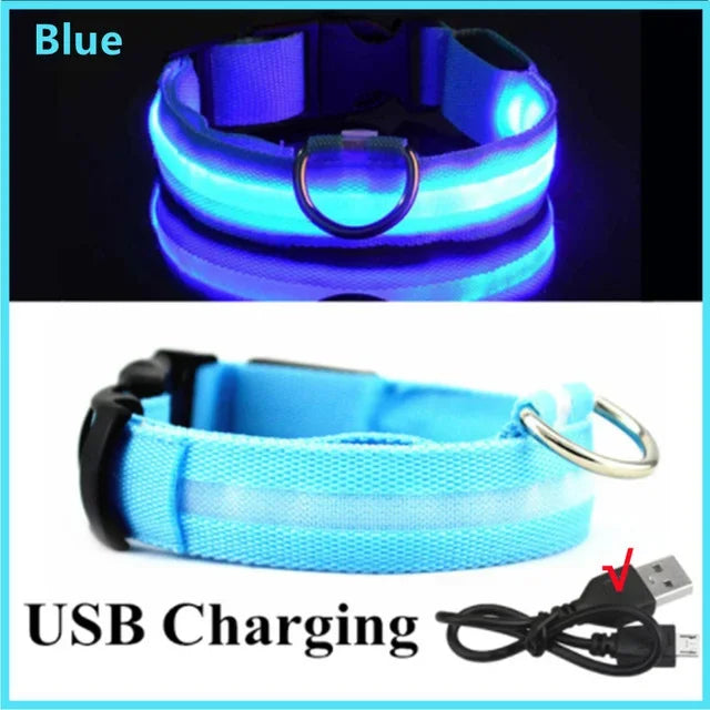 Pawfectly LED Glowing Night-Safe Collar for Small Dogs & Cats 🐾✨