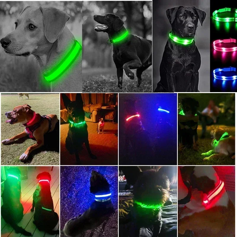 Pawfectly LED Glowing Night-Safe Collar for Small Dogs & Cats 🐾✨