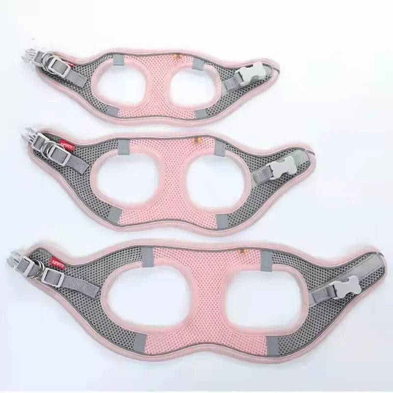 Pawfectly Reflective Nylon Harness & Leash Combo for Cats & Small Dogs 🐾🌟