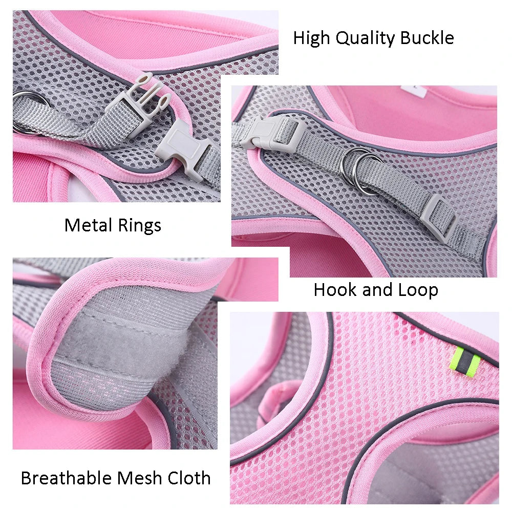 Pawfectly Reflective Nylon Harness & Leash Combo for Cats & Small Dogs 🐾🌟