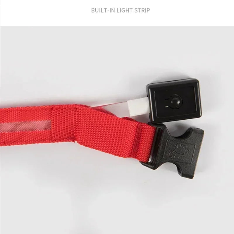 Pawfectly LED Glowing Night-Safe Collar for Small Dogs & Cats 🐾✨