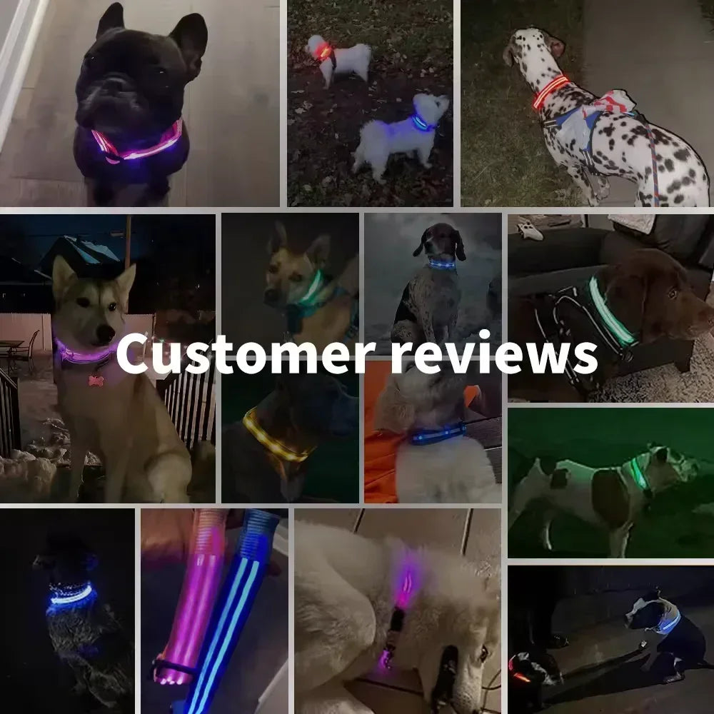 Pawfectly LED Glowing Night-Safe Collar for Small Dogs & Cats 🐾✨