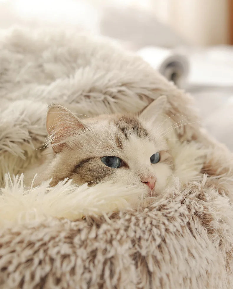 Pawfectly Autumn & Winter Plush Nest Bed 🐾❄️