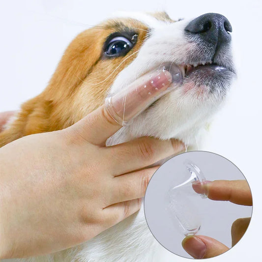 Pawfectly Super-Soft Finger Toothbrush for Dogs & Cats 🐾🦷