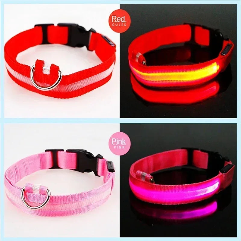 Pawfectly LED Glowing Night-Safe Collar for Small Dogs & Cats 🐾✨