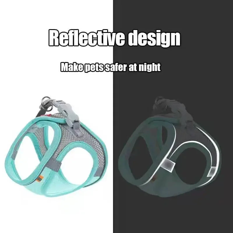 Pawfectly Reflective Nylon Harness & Leash Combo for Cats & Small Dogs 🐾🌟