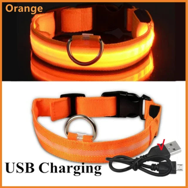 Pawfectly LED Glowing Night-Safe Collar for Small Dogs & Cats 🐾✨