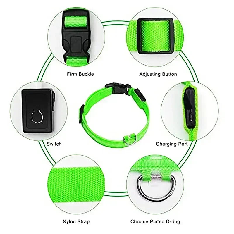 Pawfectly LED Glowing Night-Safe Collar for Small Dogs & Cats 🐾✨