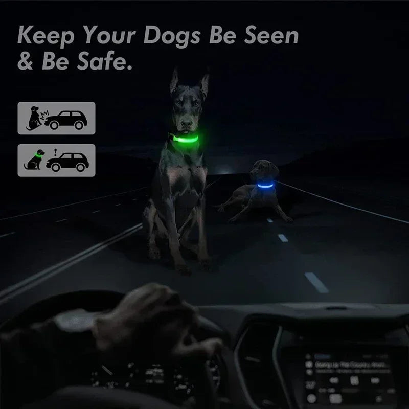 Pawfectly LED Glowing Night-Safe Collar for Small Dogs & Cats 🐾✨
