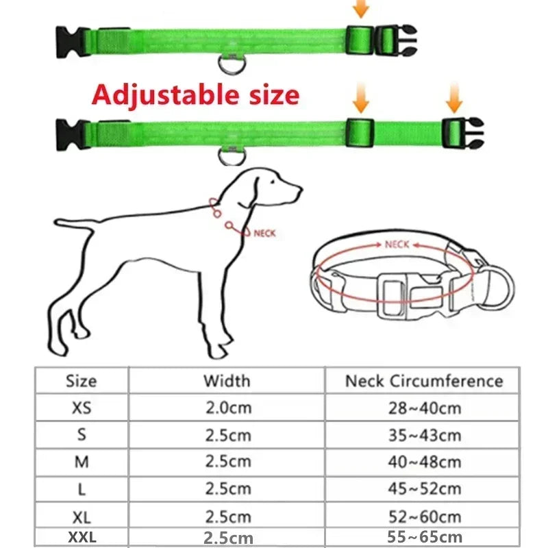 Pawfectly LED Glowing Night-Safe Collar for Small Dogs & Cats 🐾✨
