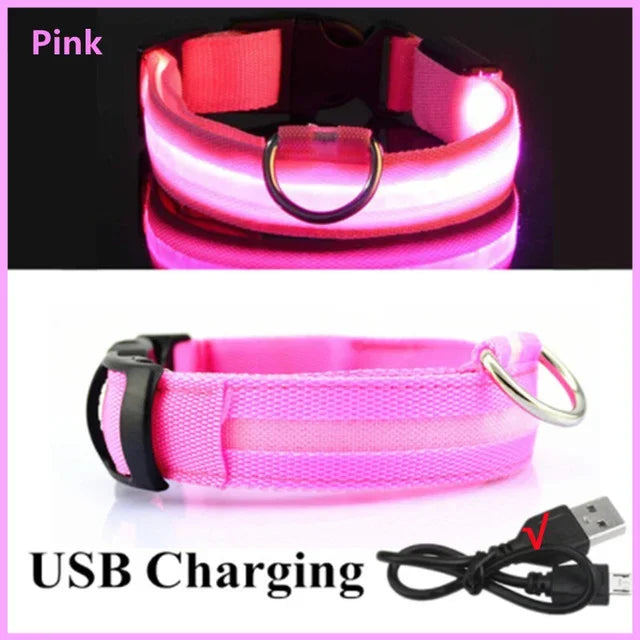 Pawfectly LED Glowing Night-Safe Collar for Small Dogs & Cats 🐾✨