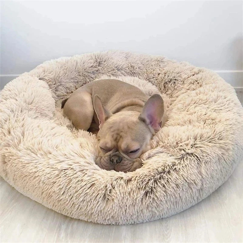 Pawfectly Super-Soft Plush Donut Bed for Cats & Small Dogs 🐾🛌