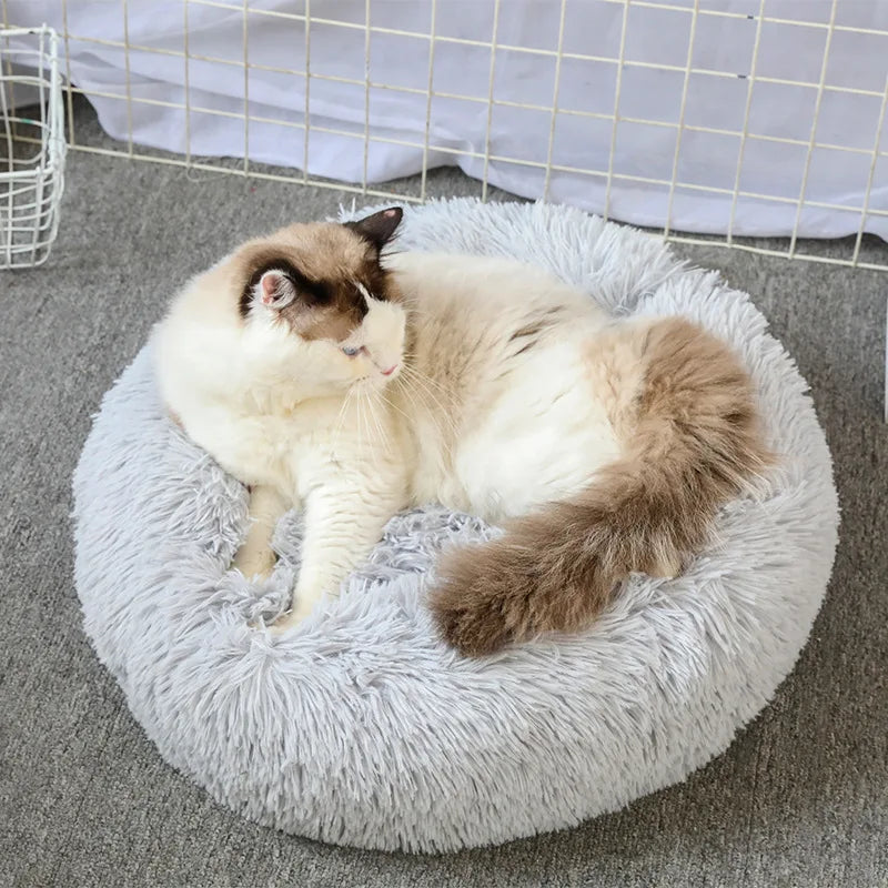Pawfectly Super-Soft Plush Donut Bed for Cats & Small Dogs 🐾🛌